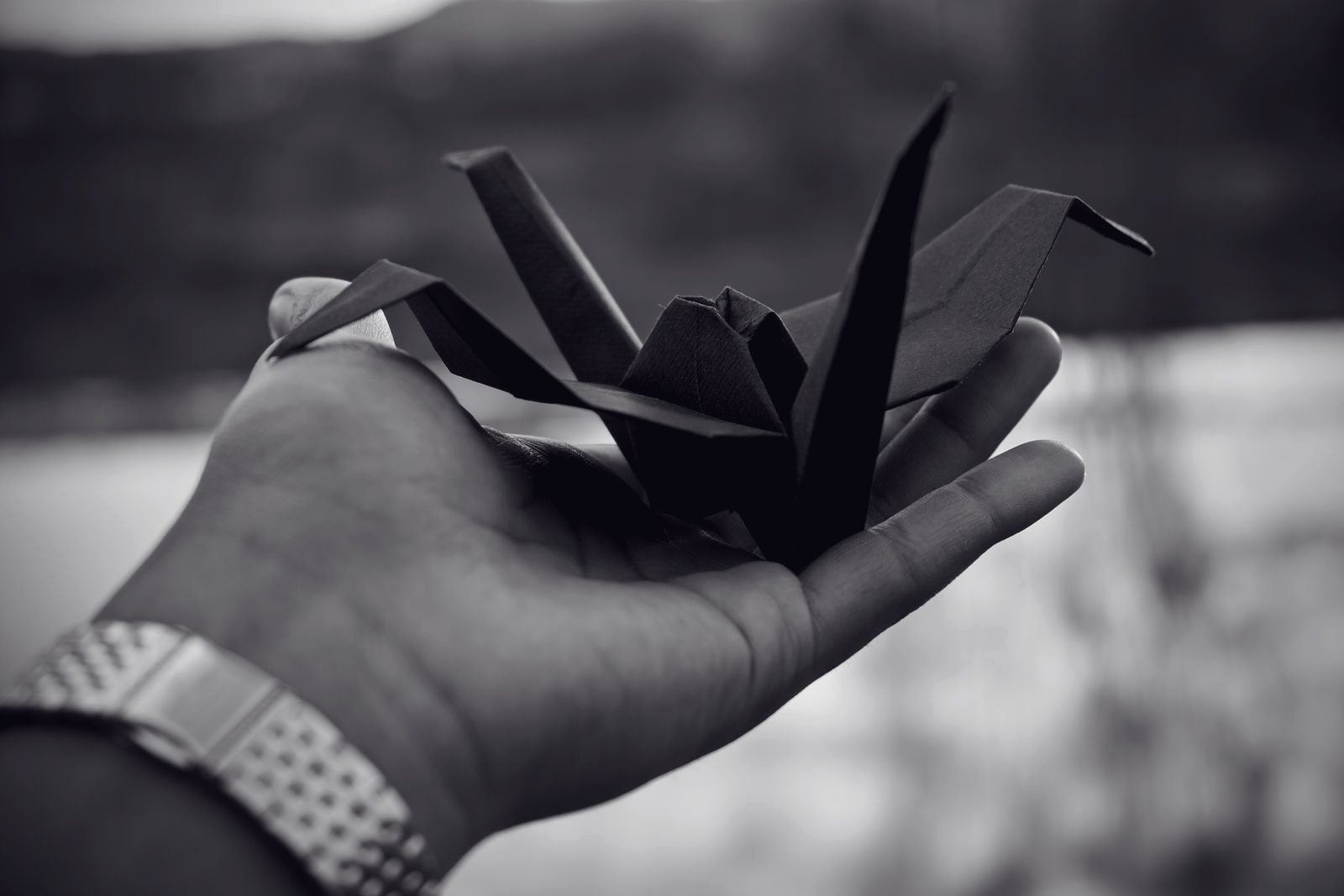 An open hand holding a finished paper crane up to the light to inspect it.
