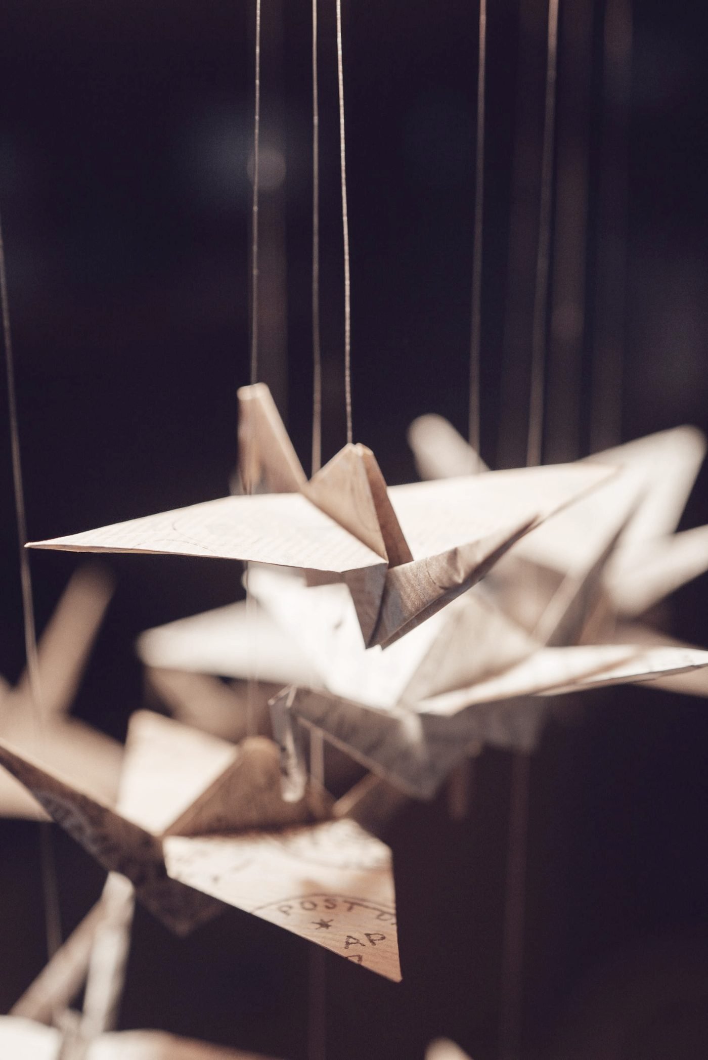 Paper cranes caught mid flight against a pale ground, wings open.
