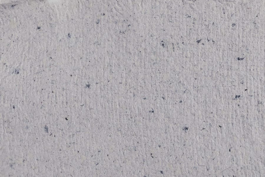 Paper fibre at close range, the flecks in the pulp visible