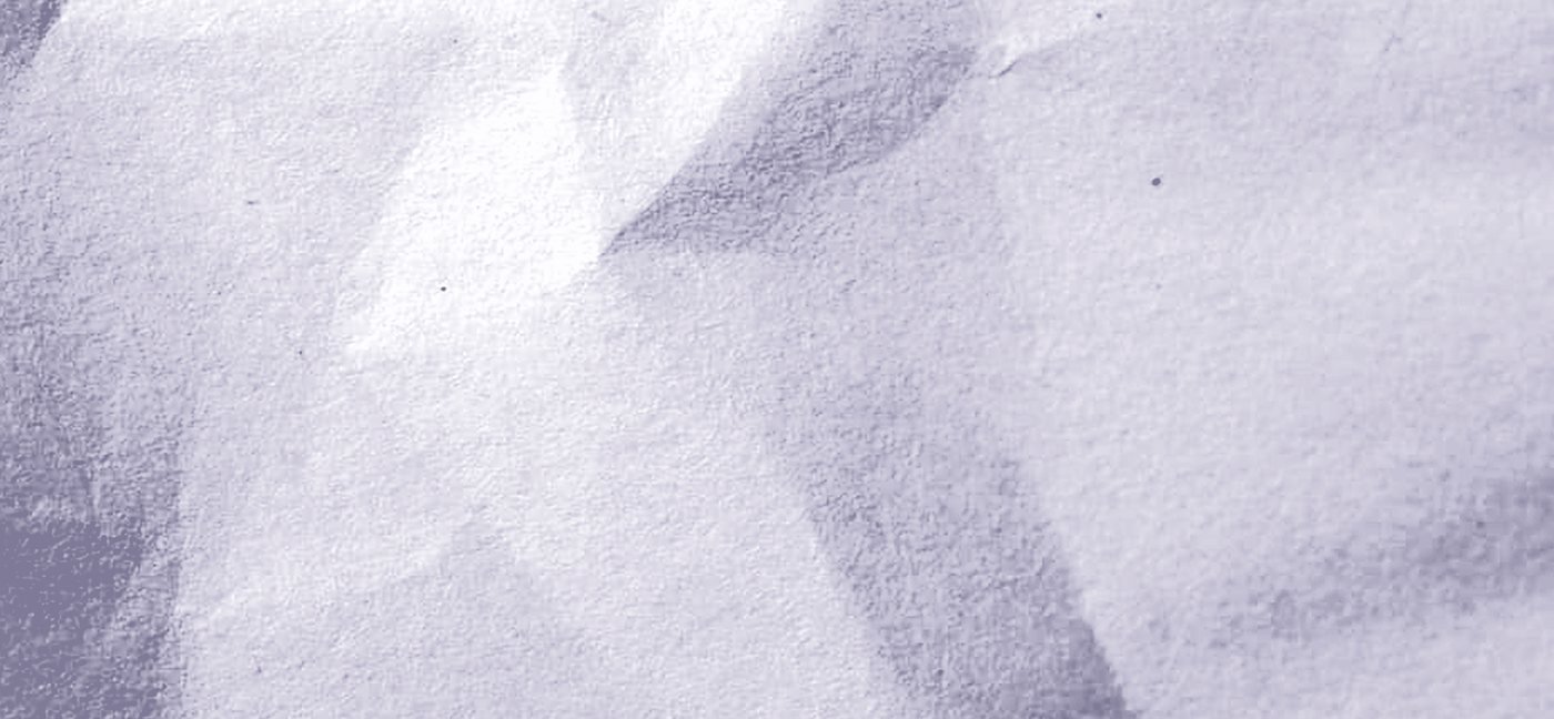 A close reading of paper fibre