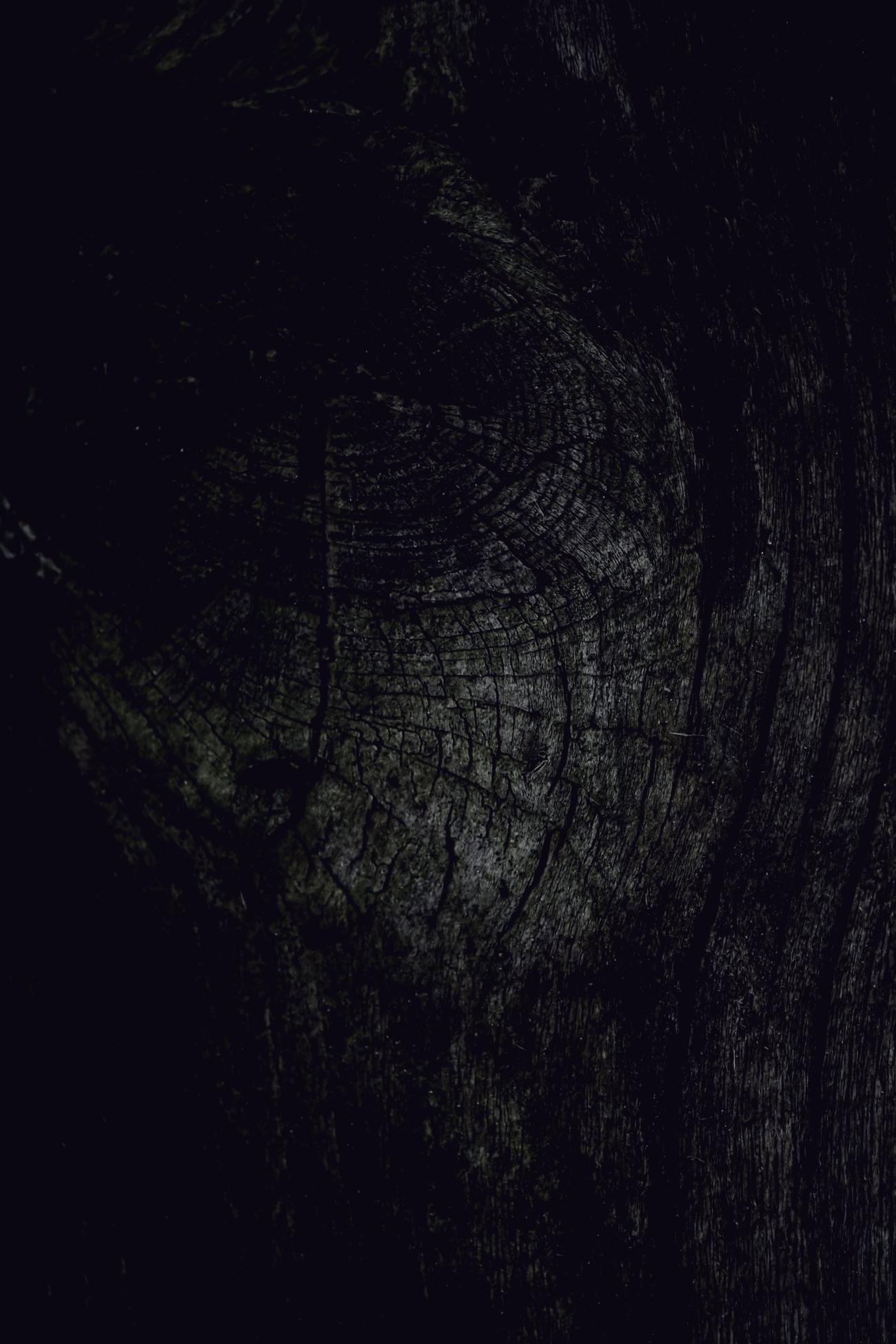A dark wooden workbench, the grain running the length of the surface under low light.